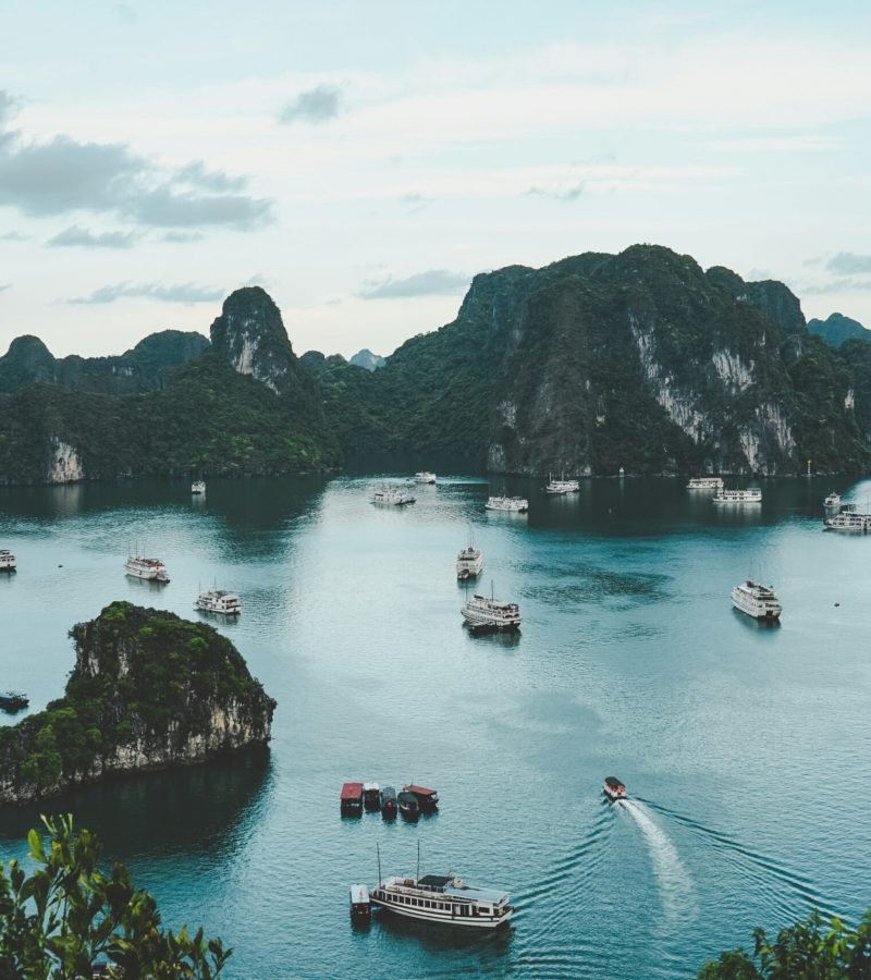 ammie-ngo-vcu-OZBxxRk-unsplash